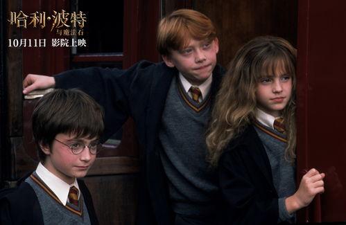 哈利波特与魔法石在线观看免费,魔法世界的奇幻启程  第2张