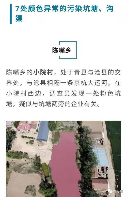 马黑爆料最新视频下载,深度解析行业内幕